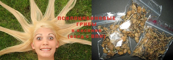 PSILOCYBIN Алексин