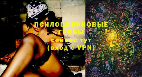 PSILOCYBIN Алексин